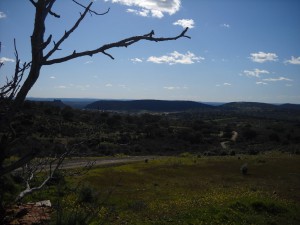 La III BTT Fresnedosa reune este Sábado a 200 ciclistas en Primavera en Torrejoncillo