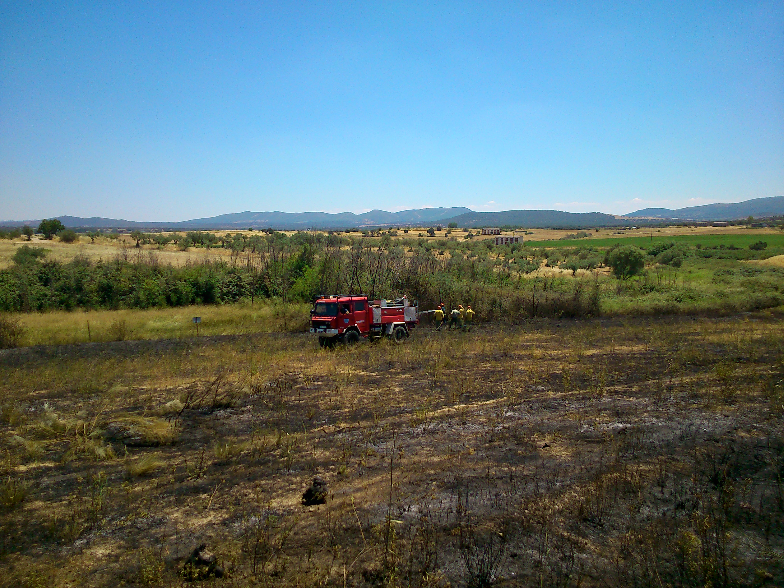 Un nuevo incendio asola varios terrenos en la Viña de las Amargas