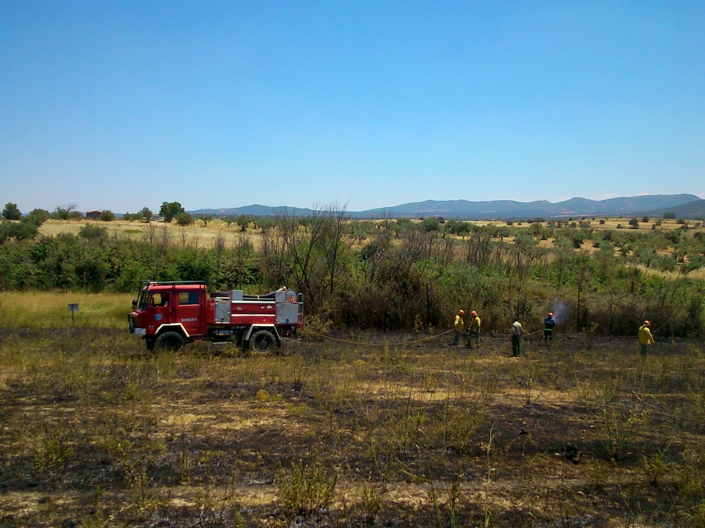 Los miembros del cuerpo de bomberos del SEPEI extinguieron rápidamente las llamas - CEDIDA