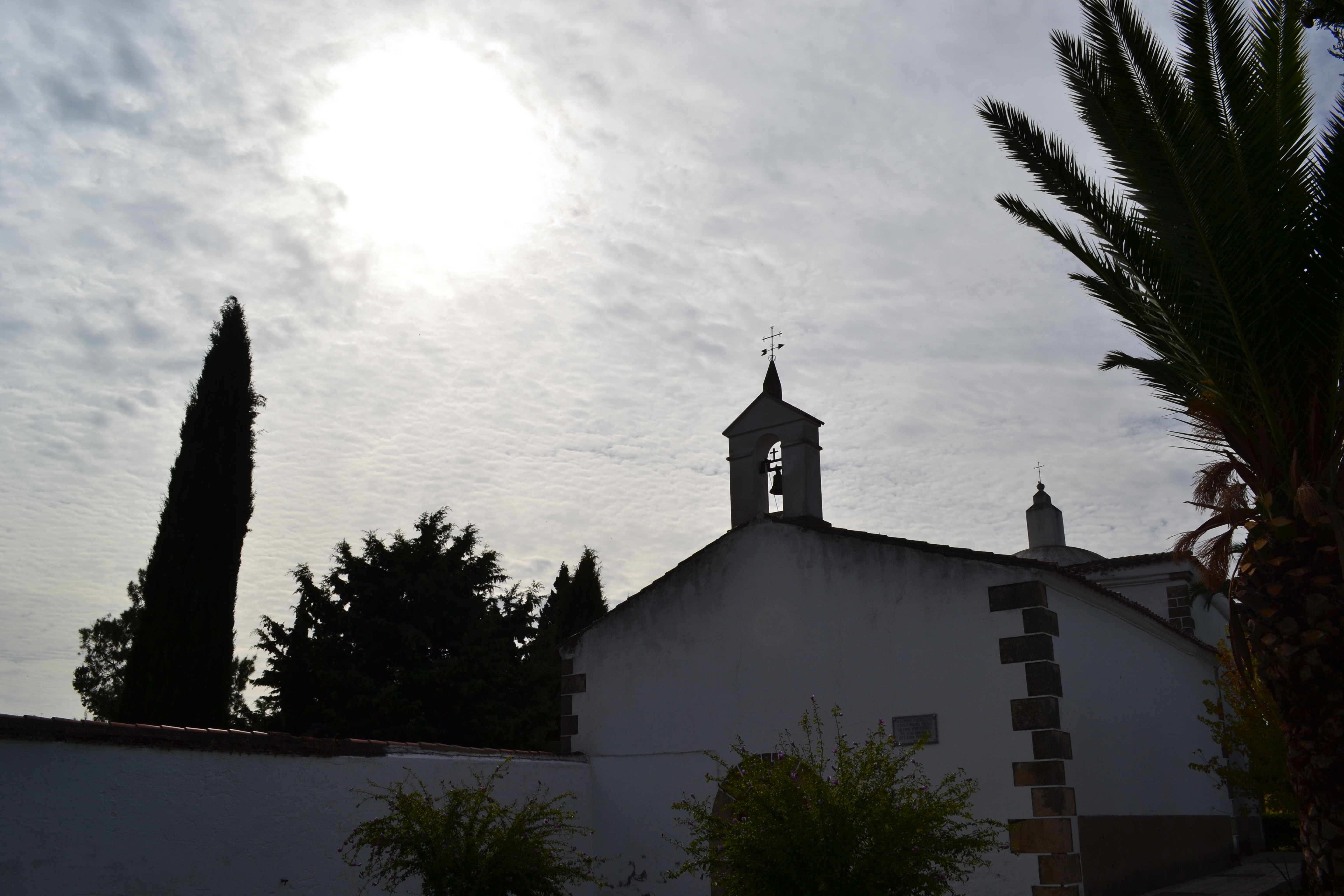 San Saturnino luce más bonito que nunca