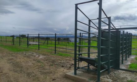 La Dehesa Boyal de Torrejoncillo, un espacio mejorado y en equilibrio entre el monte y la actividad agropecuaria