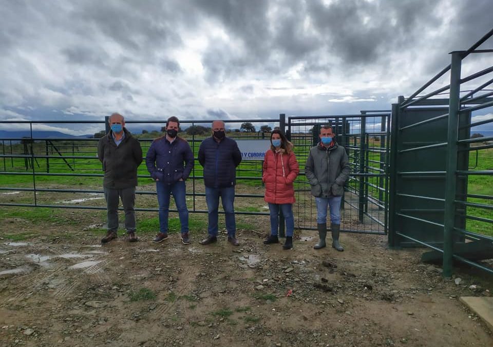 Lo que no pudiste ver en TTN durante el 2020