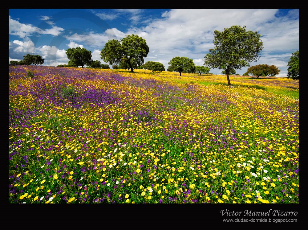 El valle del Alagón se ‘abraza’ a la Primavera