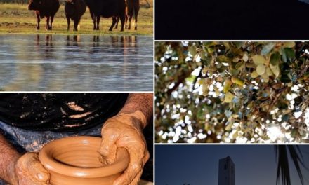 CONCURSO FOTOGRÁFICO CALENDARIO DIPUTACIÓN 2027