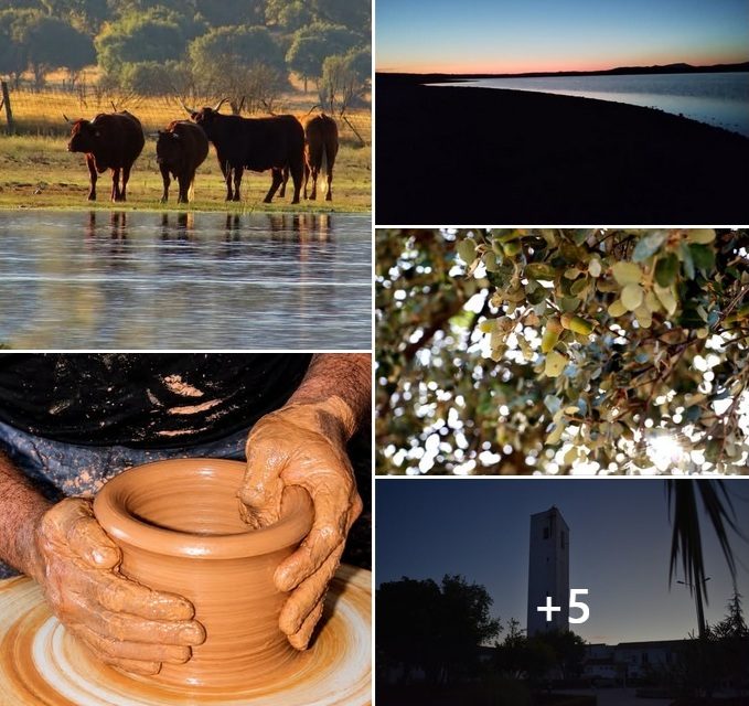 CONCURSO FOTOGRÁFICO CALENDARIO DIPUTACIÓN 2027