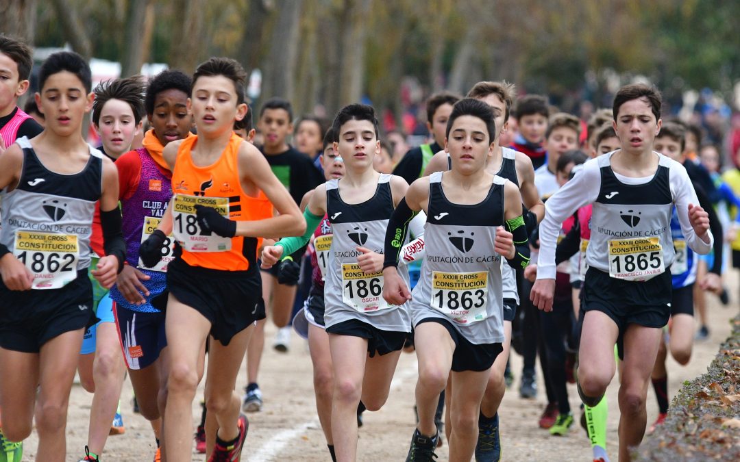 Treinta y ocho atletas extremeños viajan a Aranda de Duero para participar en el XXXIV Cross de la Constitución
