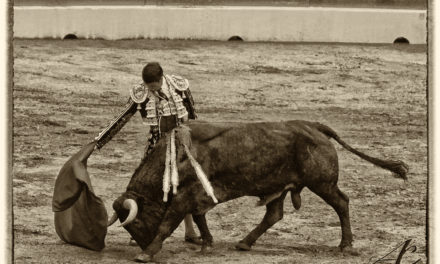 Nombramiento Hijo Predilecto de Torrejoncillo