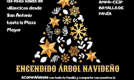 ENCENDIDO NAVIDEÑO