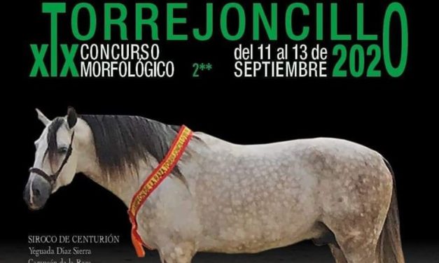 La edición de este año 2020 queda cancelada debido al COVID19.