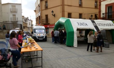 Programa de la II Feria de la Salud de Torrejoncillo