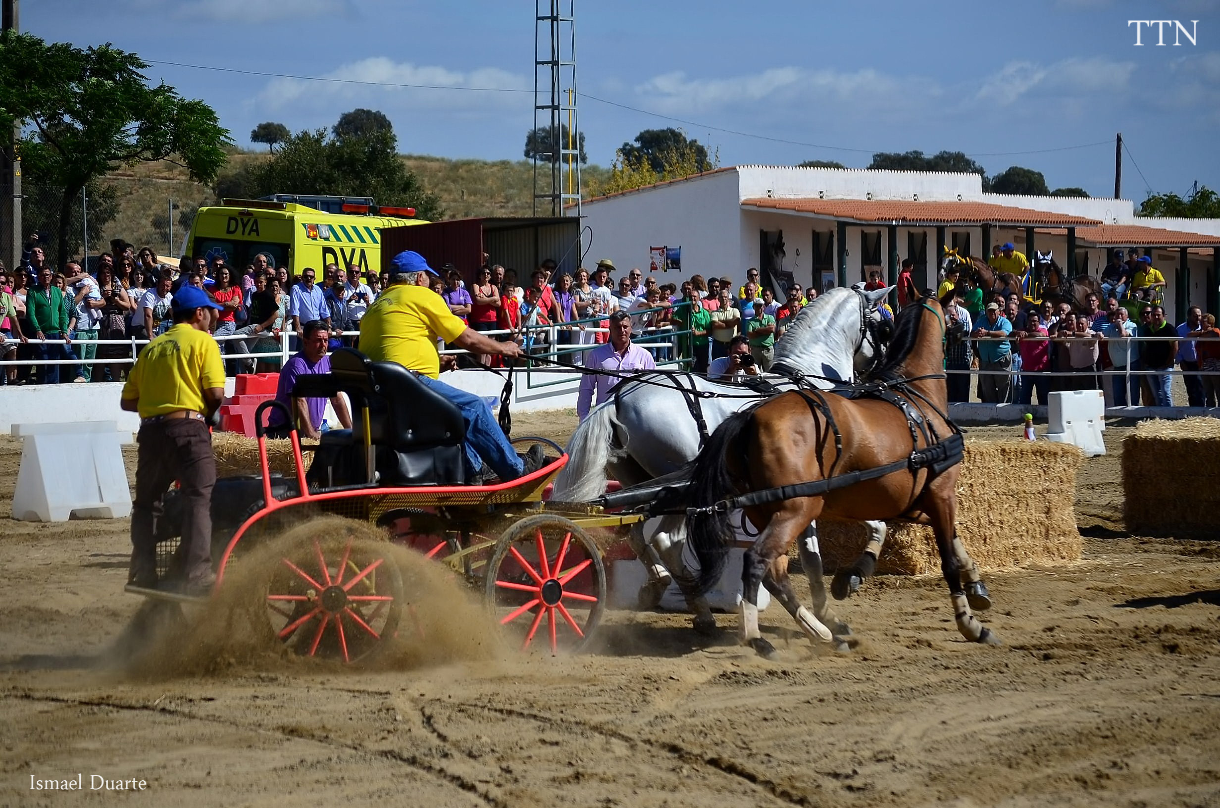 De Feria en imágenes