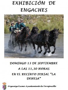 Feria del Caballo y la Artesania Torrejoncillo