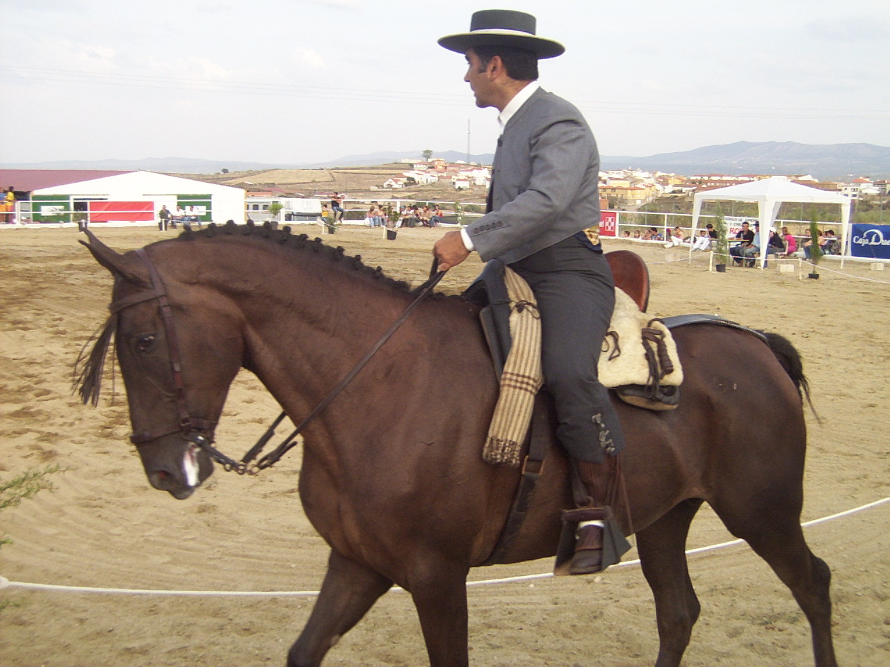 La Feria del Caballo de Torrejoncillo volverá a ser anual