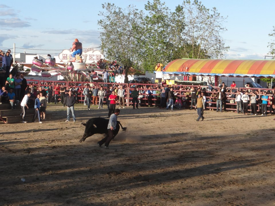 Arrancan las Fiestas de San José Obrero en Rincón del Obispo