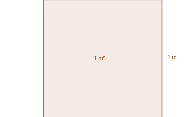 El problema del cálculo de área