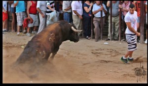 Dos últimos días para presentar trabajos al II Concurso Fotográfico “Toros de Torrejoncillo 2013