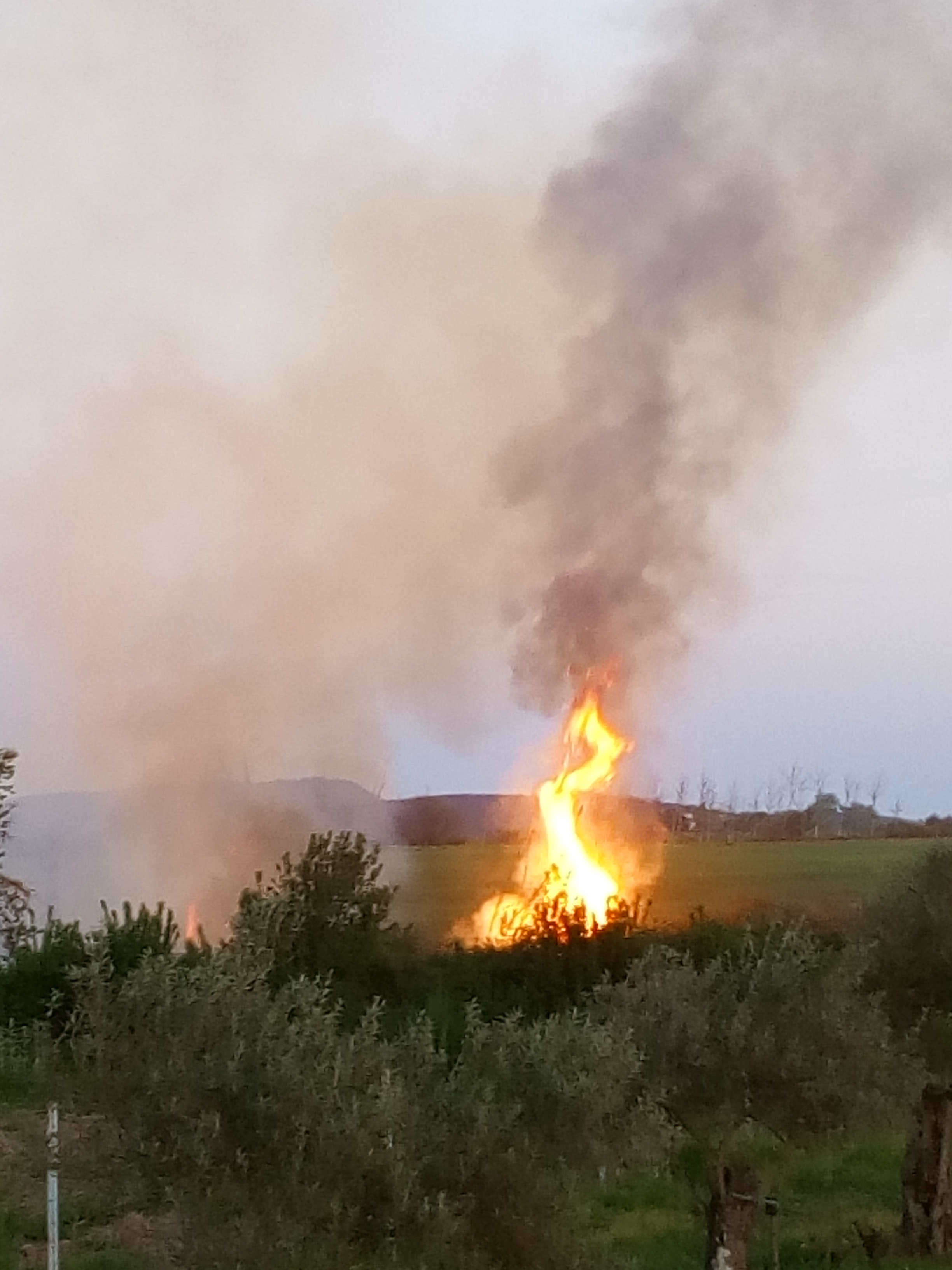 Segundo incendio del año en el mismo fin de semana