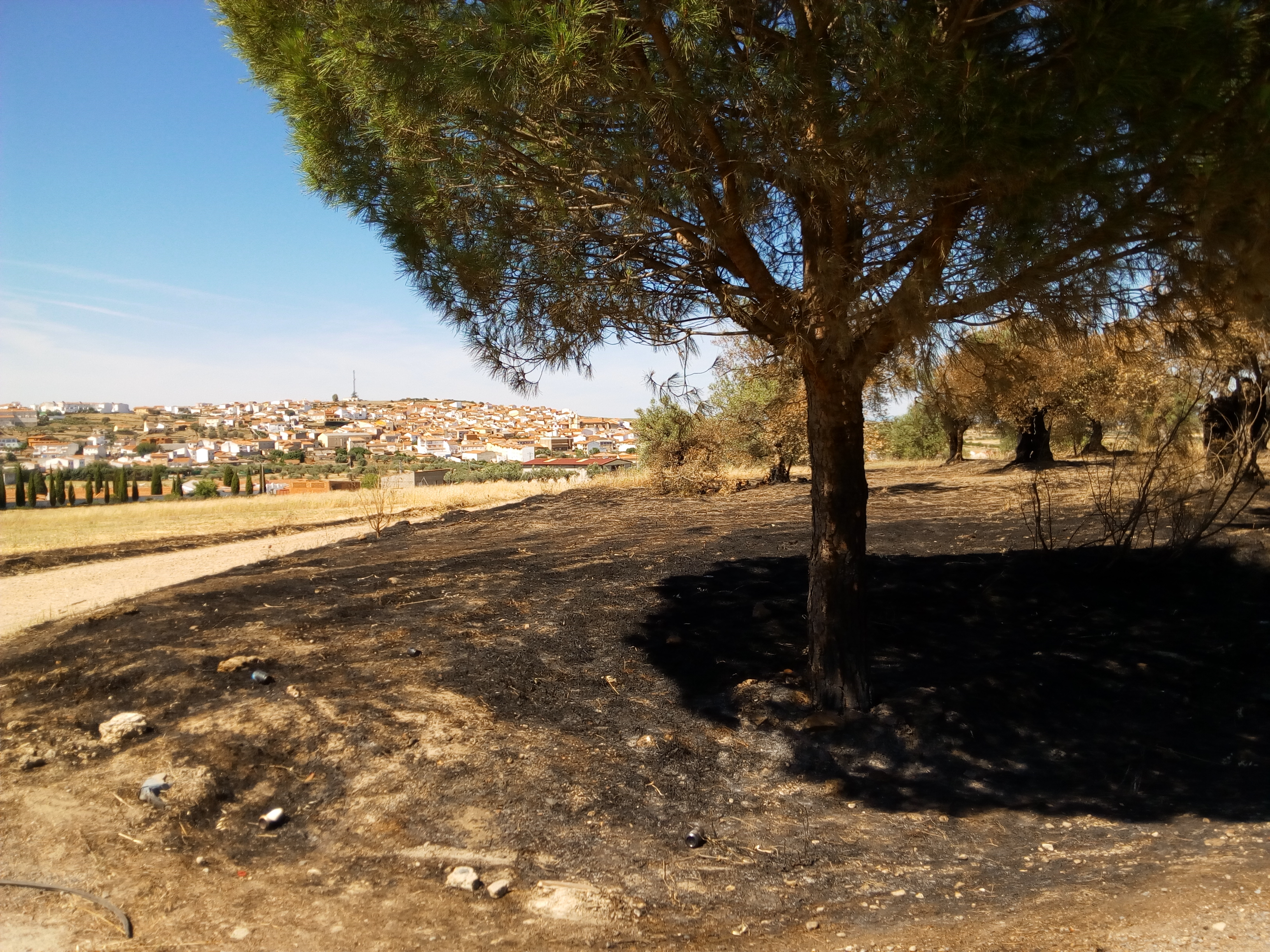 Se suspenden las quemas en el término municipal durante tres días