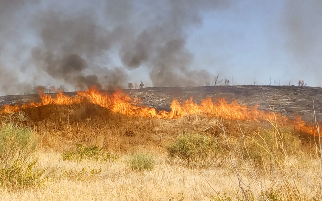 Fuego en la Esparraguera