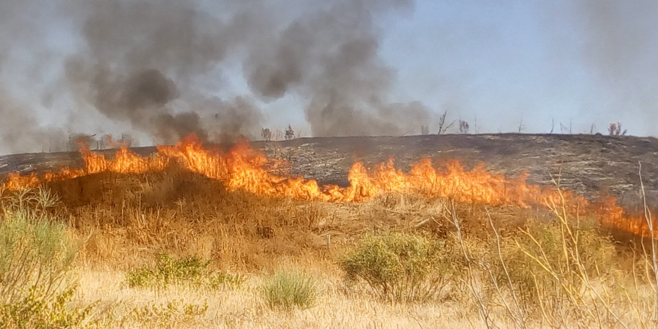 Época de peligro alto de incendios forestales