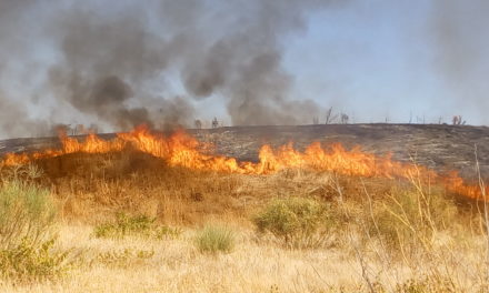 Época de peligro alto de incendios forestales