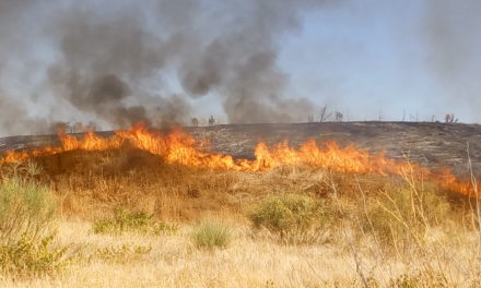 Fuego en la Esparraguera