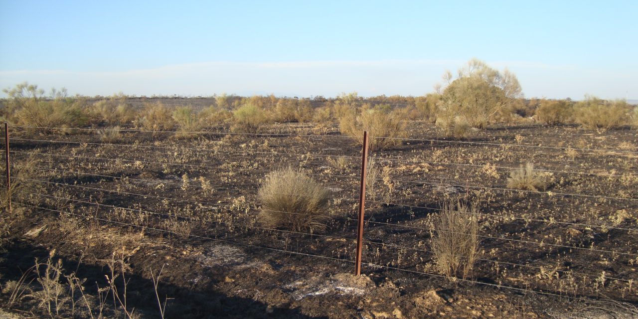 Gran despliegue de medios para sofocar el incendio de esta tarde en Torrejoncillo