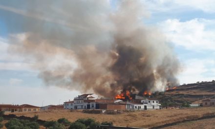 Alarmante fuego en Torrejoncillo