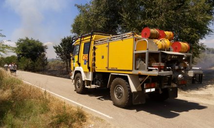 Primer incendio importante del año en Torrejoncillo