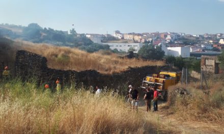 Primer fuego en Torrejoncillo de 2020