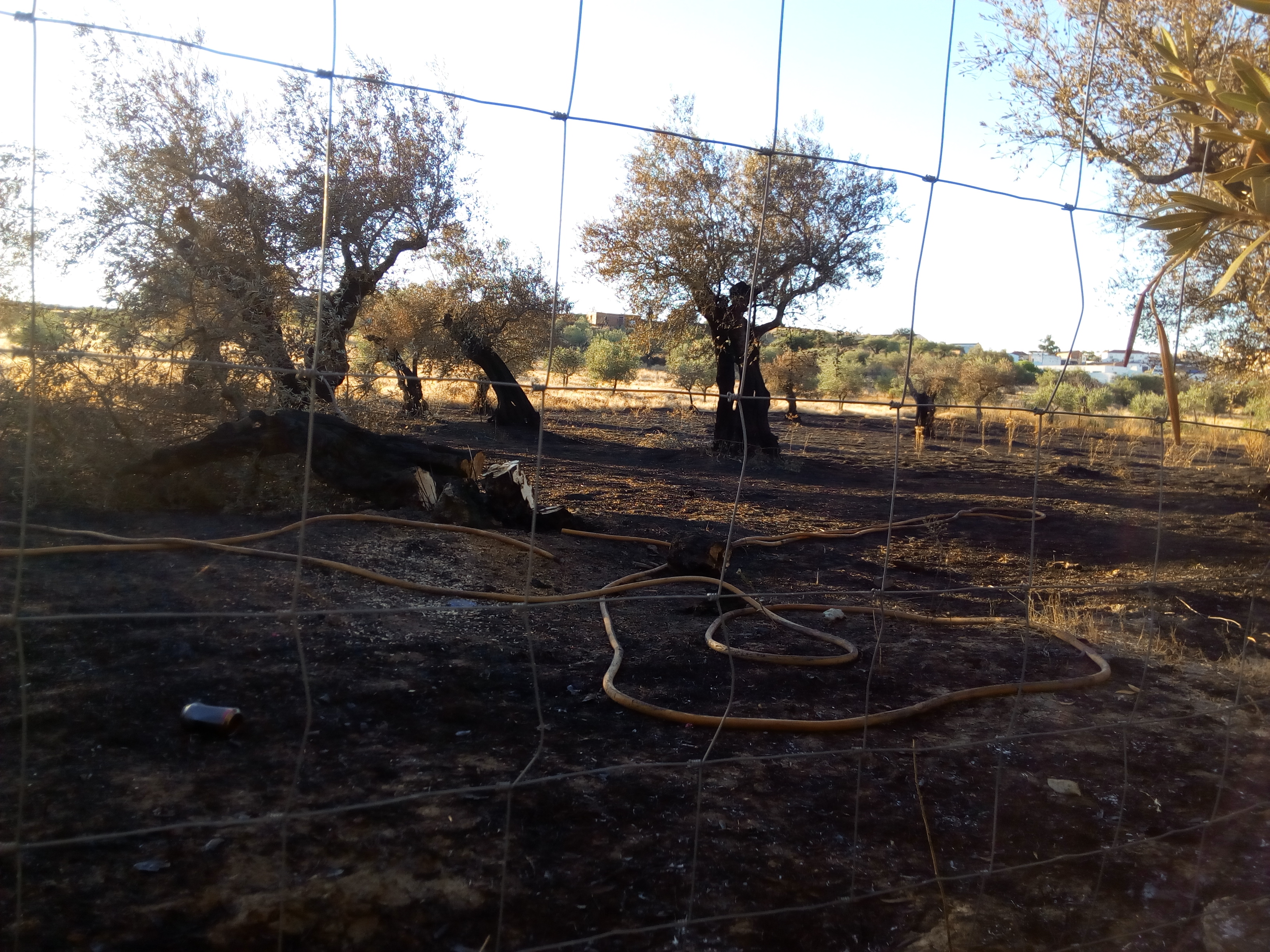 Varios conatos de incendio durante los dos últimos días