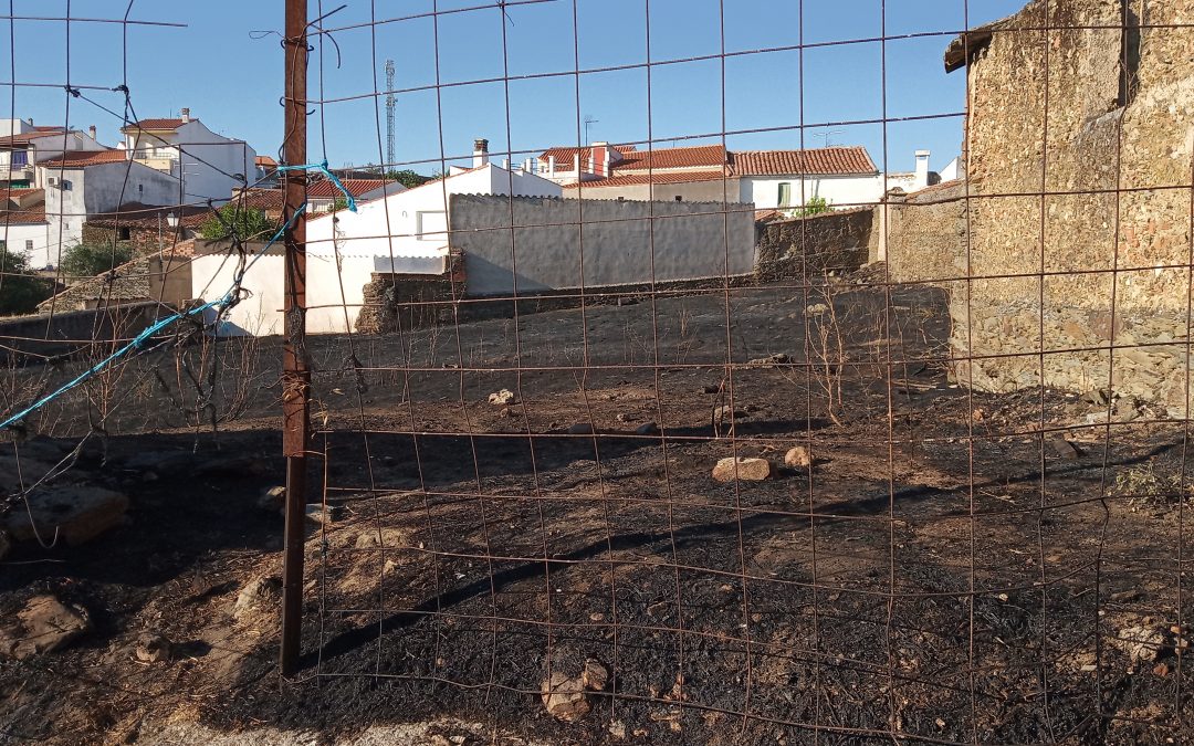 Esta vez fue en el casco urbano