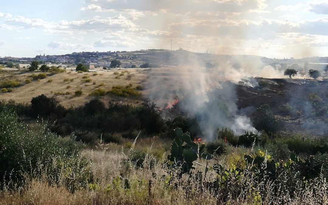 Primero del año y esperemos que el último