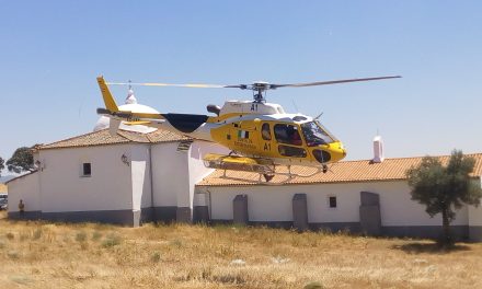 Segundo fuego de la temporada en Torrejoncillo