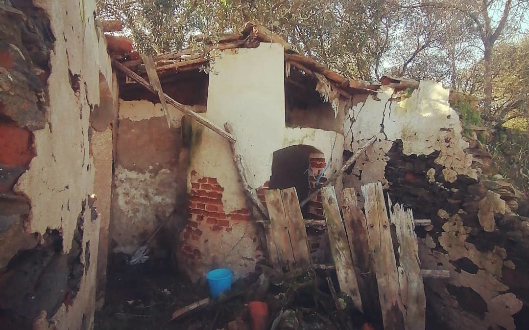 Perdiendo nuestra historia