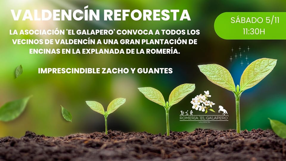 VALDENCÍN REFORESTA