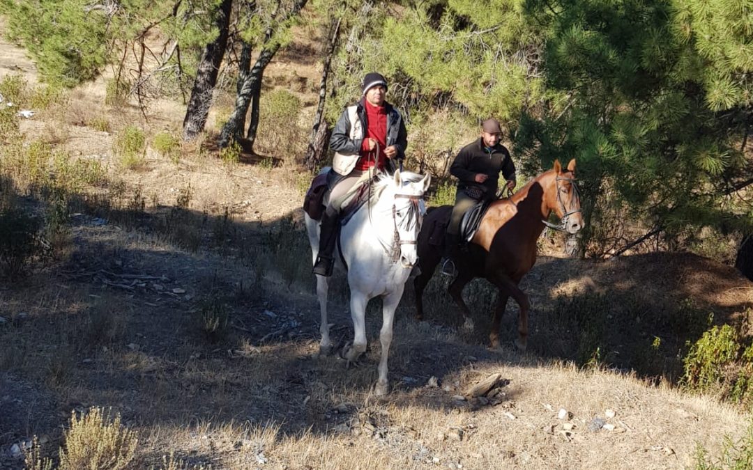 Un año más representantes torrejoncillanos en Guadalupe