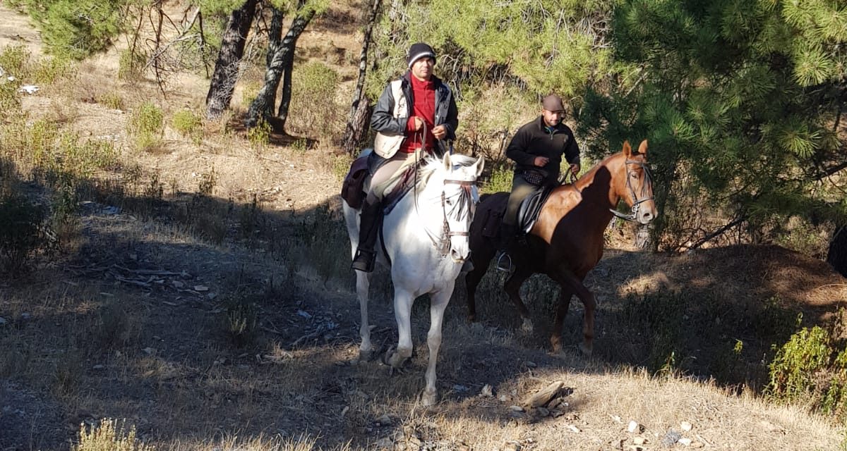 Un año más representantes torrejoncillanos en Guadalupe