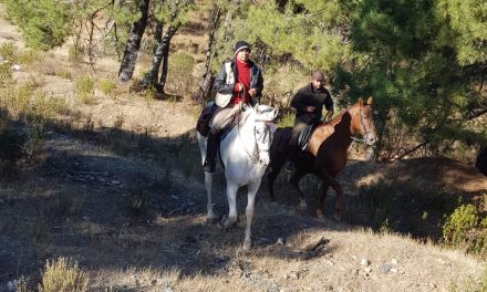 Un año más representantes torrejoncillanos en Guadalupe