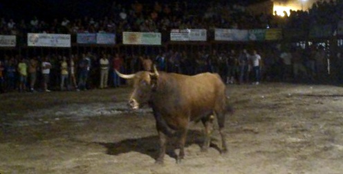 Un bravo toro de Jara del Retamar inauguró los festejos taurinos de Valdencín