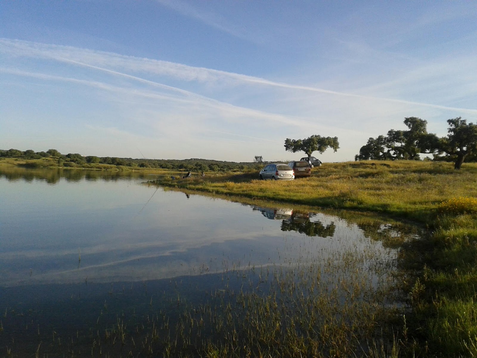 Éxito en los concursos de pesca infantiles, la cantera viene fuerte