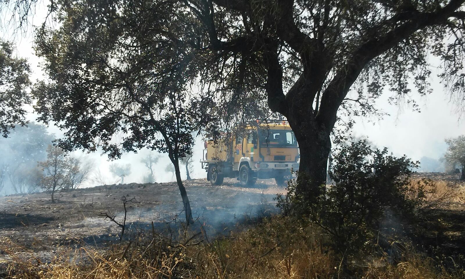 Incendio en el paraje de «La Esparraguera»