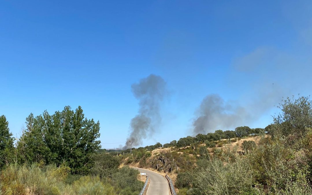 Se quema nuestra historia