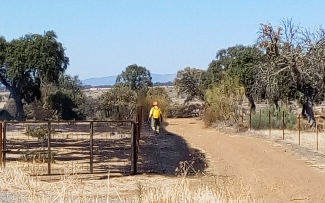 Fuego en el término de Torrejoncillo