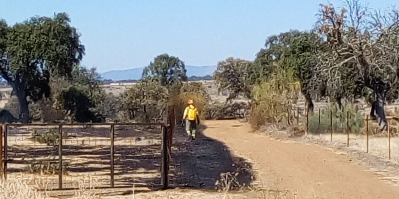 Fuego en el término de Torrejoncillo