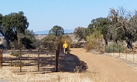 Fuego en el término de Torrejoncillo