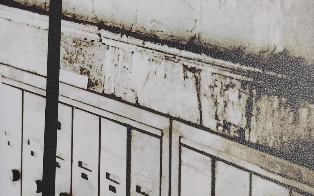 Lecturas dramatizadas. Encuentro con Memé Tabares