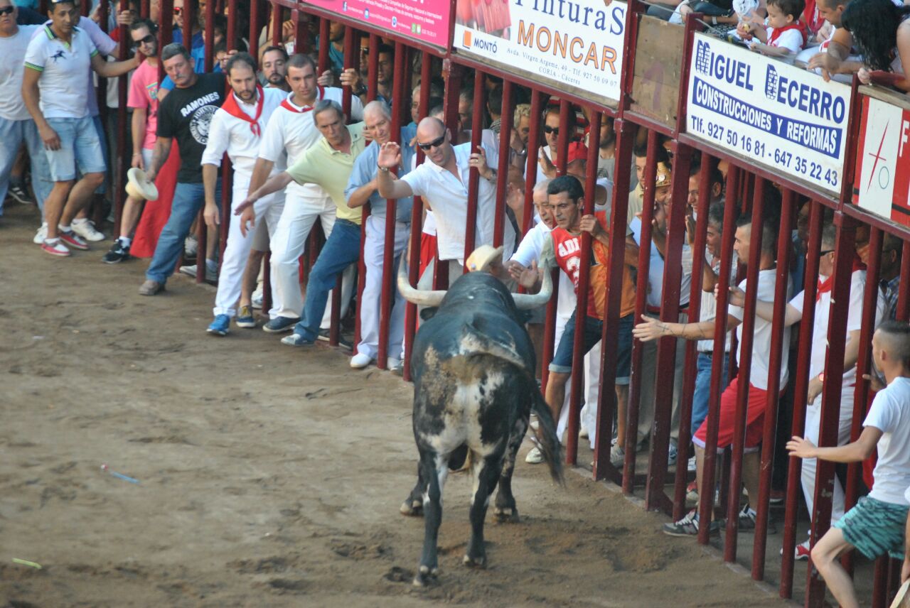 Tragedia en las fiestas de San Juan de Coria