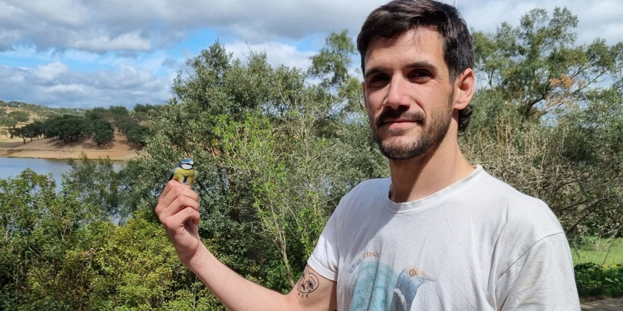 El curioso fenómeno de la urohidrosis