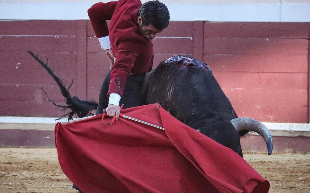 Pleno de triunfos en el festival de Lucena